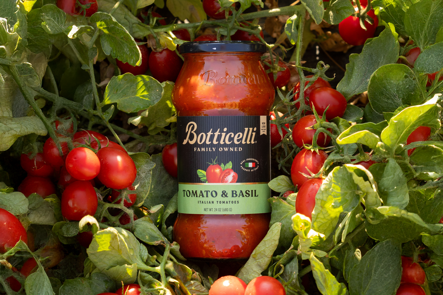 The Truth Behind The Tomatoes in Botticelli Pasta Sauces
