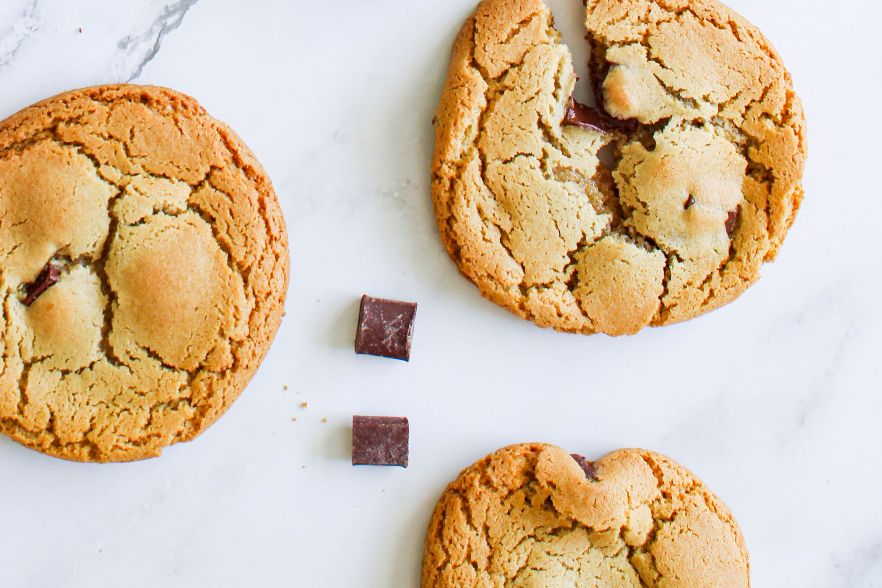 Chocolate Chip Olive Oil Cookies &ndash; Botticelli Foods