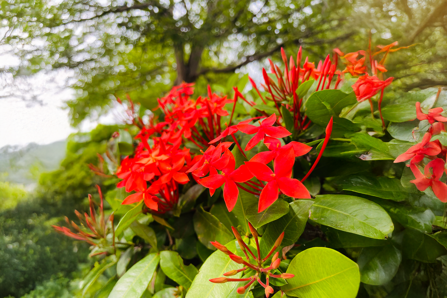 6 Ways To Re-Use Coffee Grounds